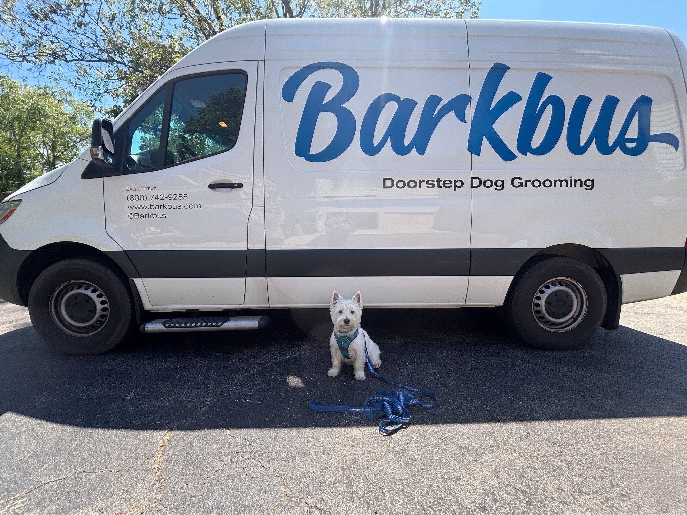 Biscuit sitting in front of the Barkbus van